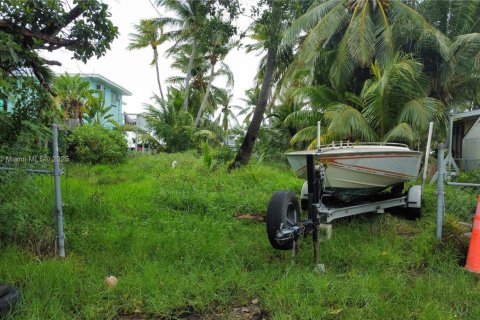 Terrain à vendre à Marathon, Floride № 1963940 - photo 7