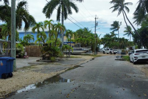 Terrain à vendre à Marathon, Floride № 1963940 - photo 9