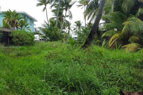 Terrain à vendre à Marathon, Floride № 1963940 - photo 10
