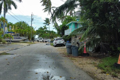 Terrain à vendre à Marathon, Floride № 1963940 - photo 6