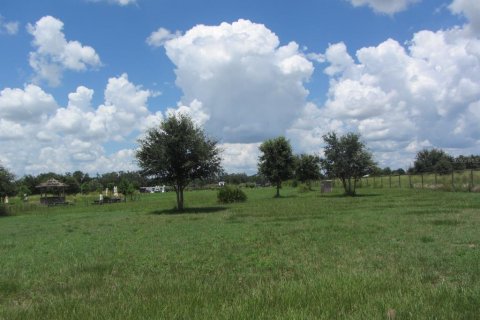 Terreno en venta en Myakka City, Florida № 1917227 - foto 17