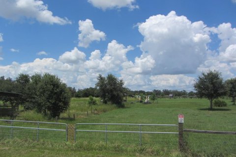 Terreno en venta en Myakka City, Florida № 1917227 - foto 2