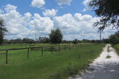 Terreno en venta en Myakka City, Florida № 1917227 - foto 22
