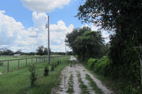 Terreno en venta en Myakka City, Florida № 1917227 - foto 30