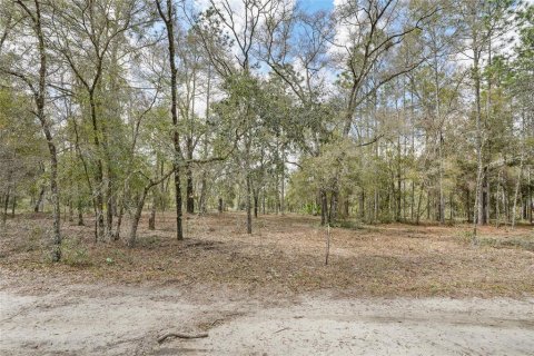 Terrain à vendre à Bronson, Floride № 1517034 - photo 5