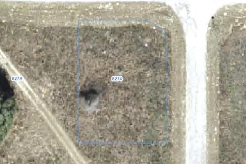 Land in Citrus Springs, Florida № 2388277