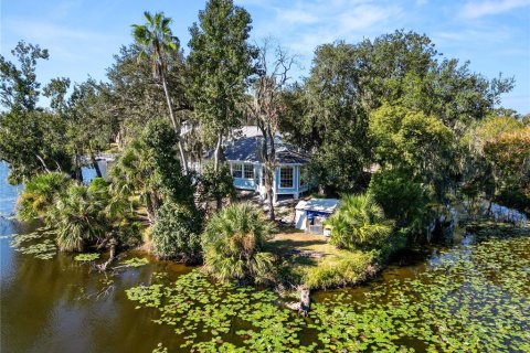 House in Mulberry, Florida 3 bedrooms, 284.19 sq.m. № 2225528 - photo 3