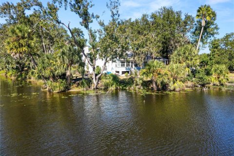 House in Mulberry, Florida 3 bedrooms, 284.19 sq.m. № 2225528 - photo 8