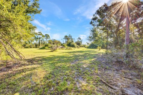 Land in Punta Gorda, Florida № 1886770 - photo 5
