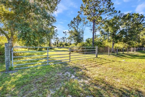 Land in Punta Gorda, Florida № 1886770 - photo 2