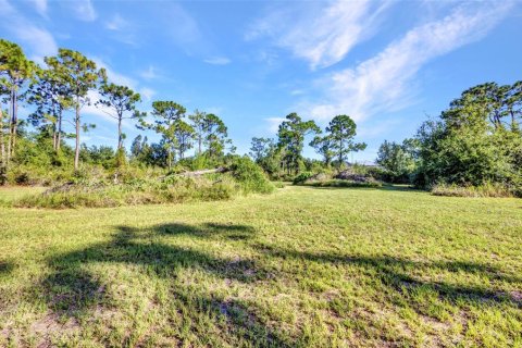 Land in Punta Gorda, Florida № 1886770 - photo 4