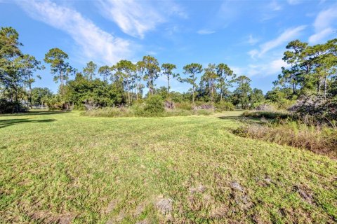 Land in Punta Gorda, Florida № 1886770 - photo 3
