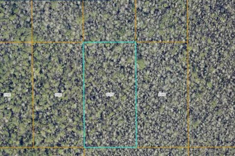 Land in DeLand, Florida № 2370860
