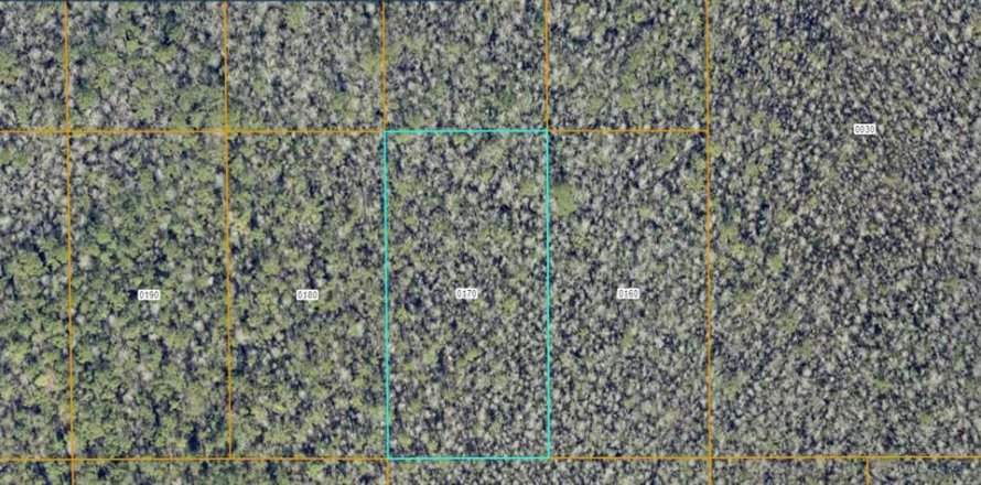 Land in DeLand, Florida № 2370860