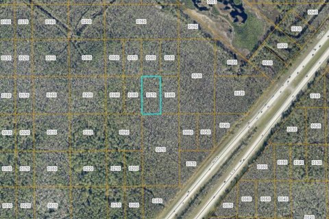 Land in DeLand, Florida № 2370860 - photo 2