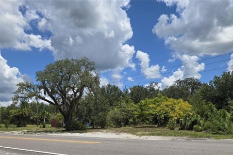 Terreno en venta en Okeechobee, Florida № 1904476 - foto 1