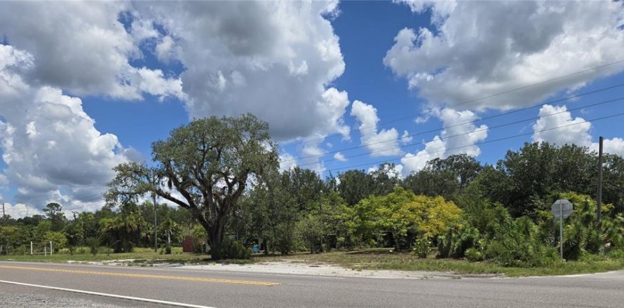 Terreno en Okeechobee, Florida № 1904476