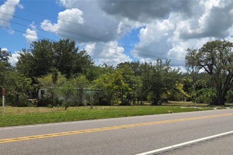 Terreno en venta en Okeechobee, Florida № 1904476 - foto 5