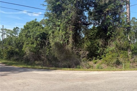 Terrain à vendre à Ocklawaha, Floride № 2203637 - photo 4