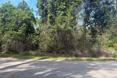 Terrain à vendre à Ocklawaha, Floride № 2203637 - photo 3