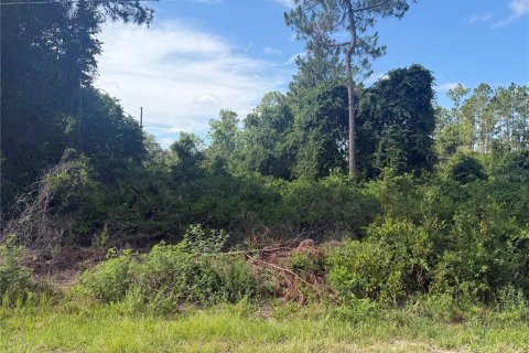Land in Ocklawaha, Florida № 2203637