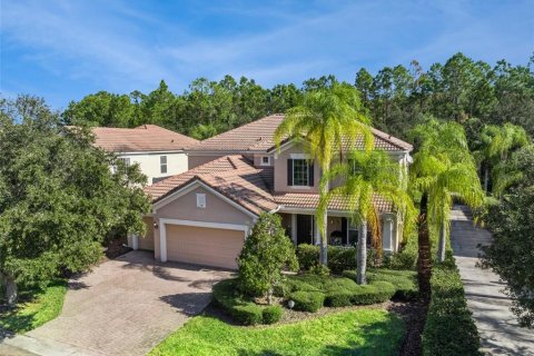 House in Orlando, Florida 4 bedrooms, 320.88 sq.m. № 2218282