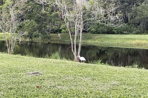 Land in Sarasota, Florida № 1911194 - photo 2