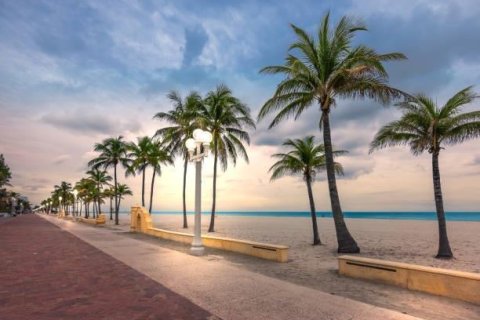 Appartement à louer à Hollywood, Floride: 1 chambre, 39.02 m2 № 2357340 - photo 16