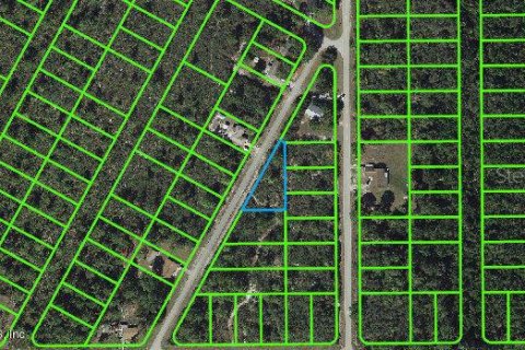 Land in Lake Placid, Florida № 2161937