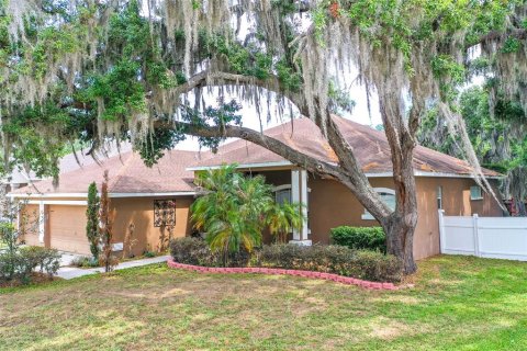 House in Valrico, Florida 4 bedrooms, 252.69 sq.m. № 2094925 - photo 30