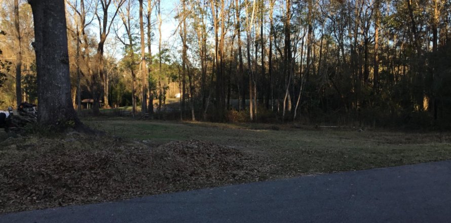 Terreno en Crestview, Florida № 559257