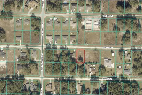 Land in Dunnellon, Florida № 2228939 - photo 3