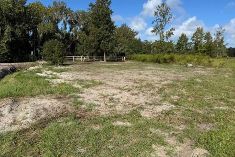 Land in Saint Augustine, Florida № 2104630 - photo 7