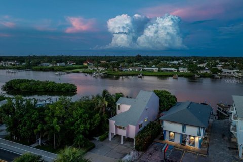 Casa en venta en Indian Shores, Florida, 6 dormitorios, 427.54 m2 № 1300220 - foto 10