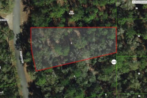 Terrain à vendre à Dunnellon, Floride № 2165699 - photo 12