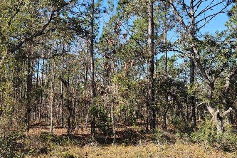 Terrain à Dunnellon, Floride № 2232833