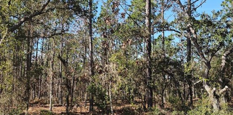 Terreno en Dunnellon, Florida № 2232833