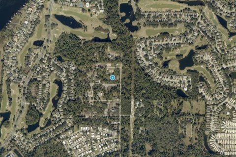 Terrain à vendre à Mount Dora, Floride № 2158917 - photo 3