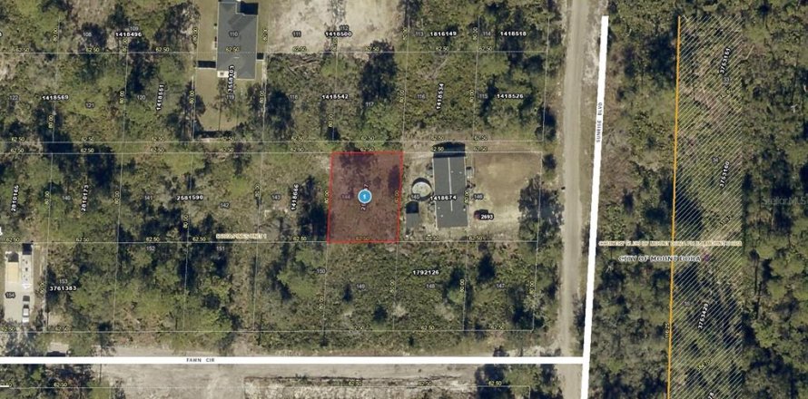 Terrain à Mount Dora, Floride № 2158917