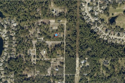 Terrain à vendre à Mount Dora, Floride № 2158917 - photo 2