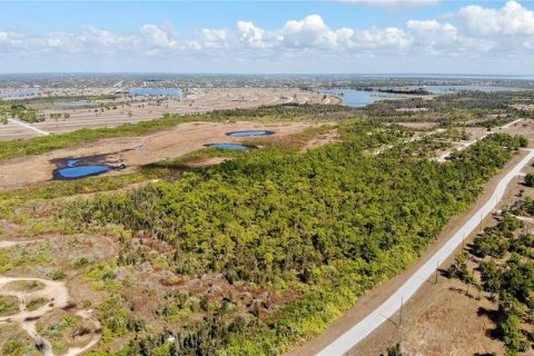 Land in Placida, Florida № 2161679 - photo 4