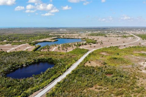 Land in Placida, Florida № 2161679 - photo 5