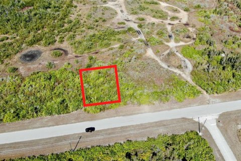 Land in Placida, Florida № 2161679 - photo 3