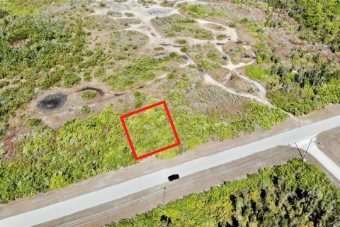 Land in Placida, Florida № 2161679