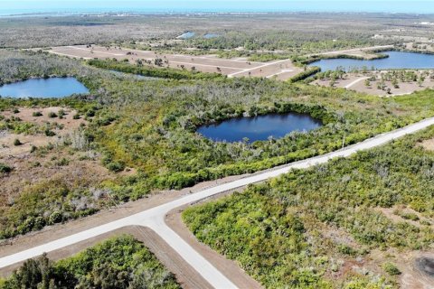 Land in Placida, Florida № 2161679 - photo 8