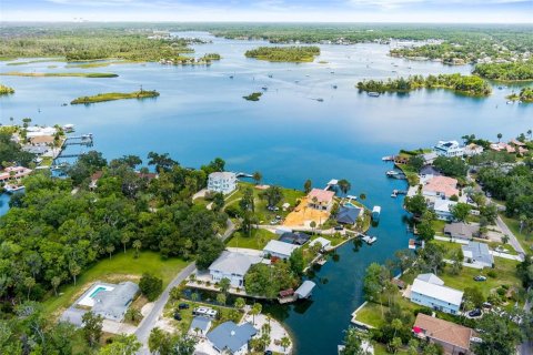 House in Crystal River, Florida 4 bedrooms, 285.21 sq.m. № 1843730 - photo 2