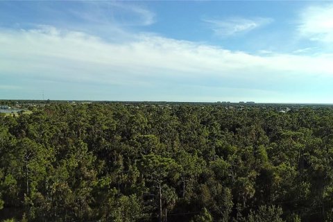 Land in Punta Gorda, Florida № 1912085 - photo 13