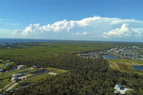 Land in Punta Gorda, Florida № 1912085 - photo 12