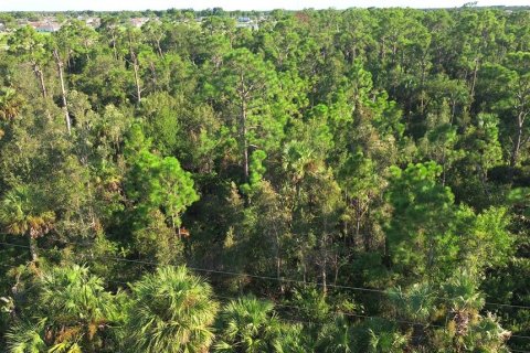 Land in Punta Gorda, Florida № 1912085 - photo 14