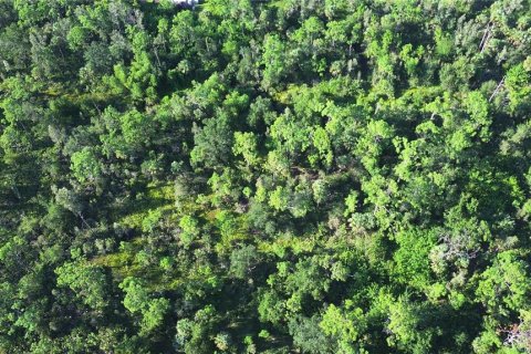 Land in Punta Gorda, Florida № 1912085 - photo 17